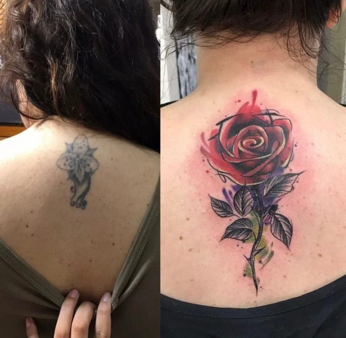 cover up ruze